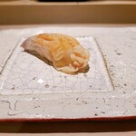 島津 - ホッキ