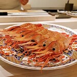 島津 - 余市のボタン海老