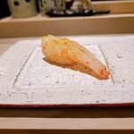 島津 - ボタン海老