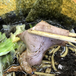 韮崎家 - 韮崎ブラックラーメン 豚ロースチャーシュー