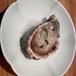 奈良屋町 青 - 大きな牡蠣です