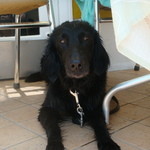 タベルナ ロンディーノ - 2009/05 