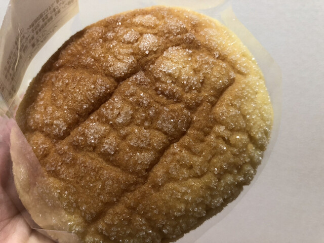 メロンパン☆とらさん トラさん♡メロンパン⑯