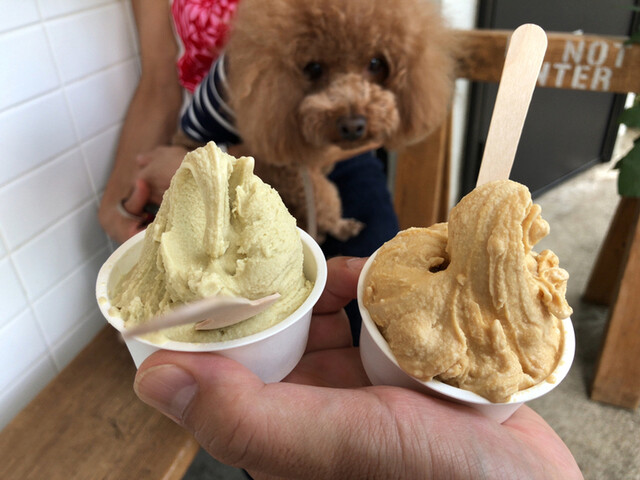 The Photo Of Food Fun Ice Tabelog