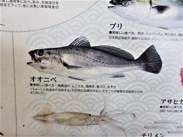 魚尽くしの浜っ子定食 1 0 By 邪悪ちきん 海の家 浜っ子 母ちゃん 福島高松 魚介料理 海鮮料理 食べログ