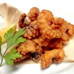 オオミヤバル - 