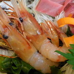 海鮮道楽たち花 - ぼたんえび