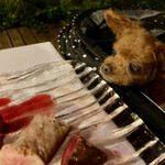 ウシマル - くるみ