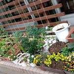 カフェ・アカリ - 