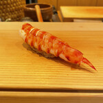 Sushi Taichi - 貫禄のある大きな海老
                        頭の味噌も一緒に握ってます。口にねじ込むと海老の香りと旨味が口いっぱいに満たされる。これは旨い！
