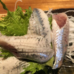 お魚処 うおとも - 飾り包丁で丁寧な仕事