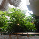 レストラン クレチュール - 席の隣には綺麗な緑も見えます