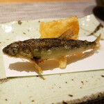 浜松町 鮨 すし門 - 