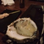 五代目 蔵DINING 酒田屋商店 - 大きな岩牡蠣  