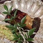 馳走 啐啄一十  - サスエの駿河湾の黒ムツ・山椒焼き