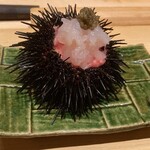 鮨 由う - （追加）殻付き雲丹、鮪中落ち、白海老、キャビア