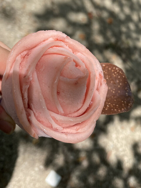 ローズガーデンカフェ Rose Garden Cafe あつみ温泉 カフェ 食べログ ローズガーデンカフェ Rose Garden Cafe あつみ温泉 カフェ 食べログ