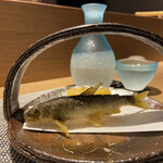 Sushi Sushidome - 