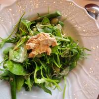 ブラッスリー ポール・ボキューズ 大丸東京 - ツナサラダ