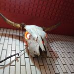 一条流がんこ総本家分家四谷荒木町 - 