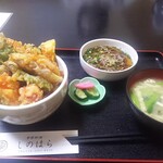 Shino Hara - ミニ天丼セット1000円