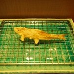 天ぷら 川辰 - 鮎