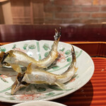 壽山 - 琵琶湖の鮎