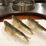 天麩羅 四季彩 村松 - 琵琶湖産稚鮎。ワタまでスッキリ