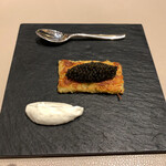 スガラボヴィー - 