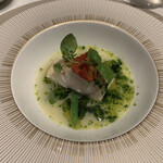 スガラボヴィー - 