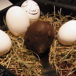 フロリレージュ - 