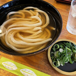 Sanuki Kompira Tsuru Tsuru Udon - 冷かけうどん　お出汁、最高っ！