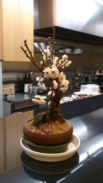 Japanese cuisine Baido photo 5