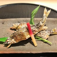 新ばし 星野 - 鮎は、島根の高津川と山梨の桂川の食べ比べ