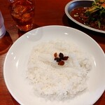 DEVIL CURRY - ライスは少なめでお願いしました
            お水の他にミントティーが付きます