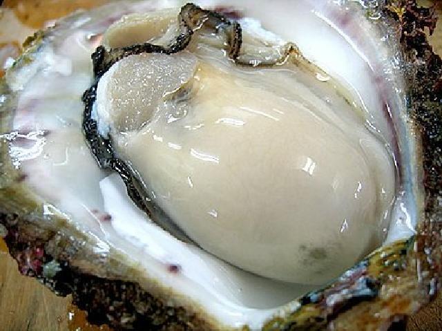 房総魚男 ボウソウフィッシュマン 木更津 居酒屋 ネット予約可 食べログ