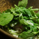 アカ - 京都・大原のサラダ 岡山のハーブ イサキ