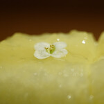 アカ - メロンとエルダーフラワー