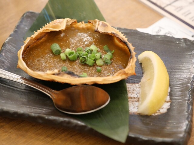 トロ政 image