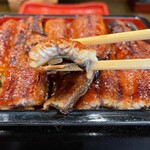 うなぎの豊川 - うなぎ断面