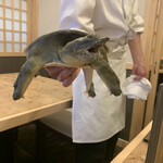 Suppon Fugu Nihon Ryouri Shinjuku Aguraya - 