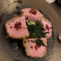 Jose Luis Karuizawa - 