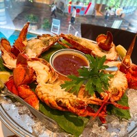 ウルフギャング・ステーキハウス 福岡店 - 