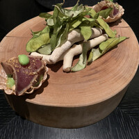 VELROSIER - 