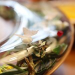 セララバアド - 