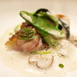 セララバアド - 