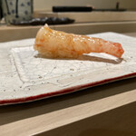 島津 - ボタンエビ
      
      そりかえる我の強さ