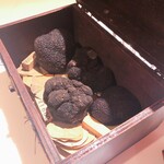 マルゴット エ バッチャーレ - 