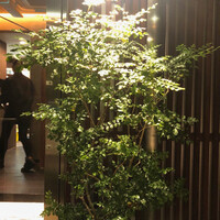 Cossott’e sp 麻布十番店 - 