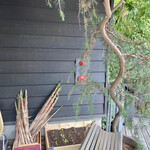 MORIASOBI - 店頭に筍？